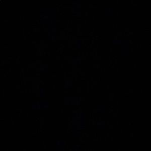 Meet your Posher, Nathan